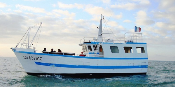 bateau Flipper II - 600x300 px